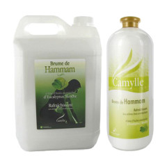 brume de hammam Eucalyptus Camylle