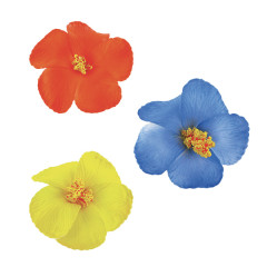 Fleurs flottantes - lot de 3