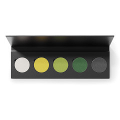 Palette 5 Fards A Paupieres Vert MPPAL5FAPV